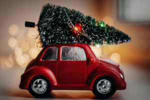 small Christmas tree on a toy car