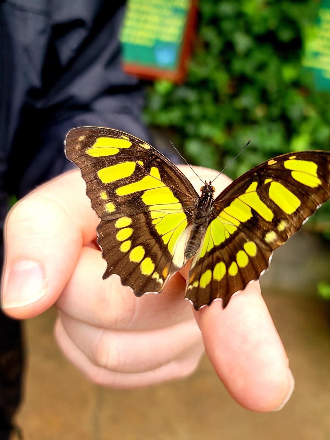 Image courtesy of Andy Brown